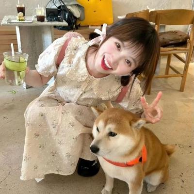 土拨鼠之日